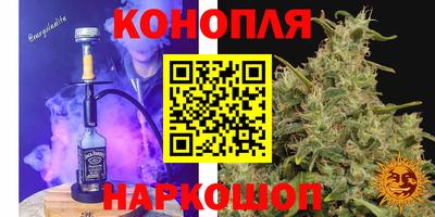 тгк Новозыбков
